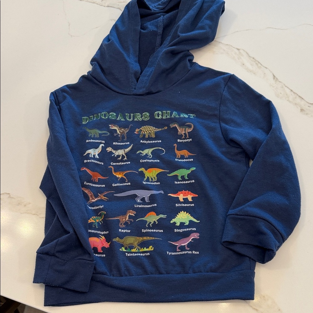 Kids Dinosaur Chart Hoodie - Blue